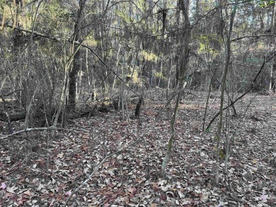 ust under 1/2 acre lot in the heart of Rayburn Country! on Rayburn Country Club in Texas - for sale on GolfHomes.com, golf home, golf lot