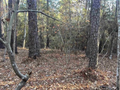 ust under 1/2 acre lot in the heart of Rayburn Country! on Rayburn Country Club in Texas - for sale on GolfHomes.com, golf home, golf lot