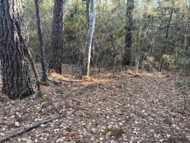 ust under 1/2 acre lot in the heart of Rayburn Country! on Rayburn Country Club in Texas - for sale on GolfHomes.com, golf home, golf lot