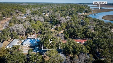 The ole saying, *Start with a blank slate!* 1043 Fisherman's on Sapelo Hammock Golf Club in Georgia - for sale on GolfHomes.com, golf home, golf lot