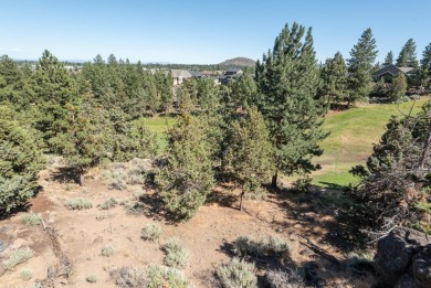 Exquisite custom home offering luxury, privacy & views, with on Rivers Edge Golf Resort in Oregon - for sale on GolfHomes.com, golf home, golf lot