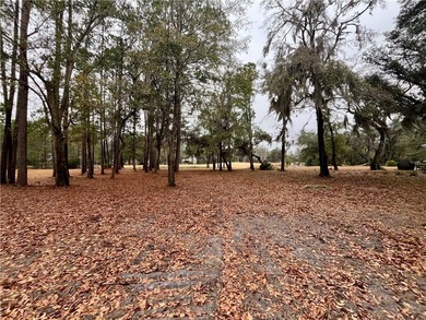 Fabulous Homesite on the Golf Course in Sutherland Bluff! Great on Sapelo Hammock Golf Club in Georgia - for sale on GolfHomes.com, golf home, golf lot
