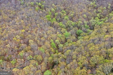 This beautiful vacant lot is more than just land Co it's a rare on Bent Tree Golf Course in Georgia - for sale on GolfHomes.com, golf home, golf lot