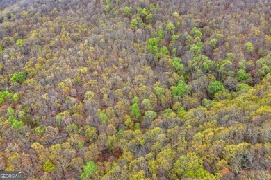 This beautiful vacant lot is more than just land Co it's a rare on Bent Tree Golf Course in Georgia - for sale on GolfHomes.com, golf home, golf lot