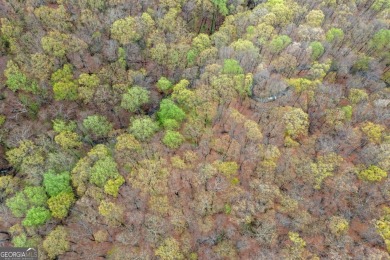 This beautiful vacant lot is more than just land Co it's a rare on Bent Tree Golf Course in Georgia - for sale on GolfHomes.com, golf home, golf lot