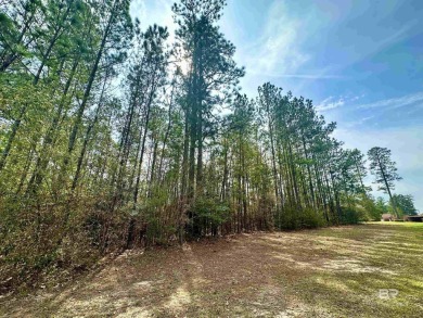 Beautiful lot for sale in Juniper Creek Subdivision! on Country Club of Brewton in Alabama - for sale on GolfHomes.com, golf home, golf lot