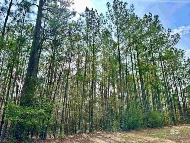 Beautiful lot for sale in Juniper Creek Subdivision! on Country Club of Brewton in Alabama - for sale on GolfHomes.com, golf home, golf lot