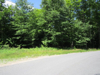 Beautiful private building lot in a quiet subdivision.  Close to on Tupper Lake Country Club in New York - for sale on GolfHomes.com, golf home, golf lot