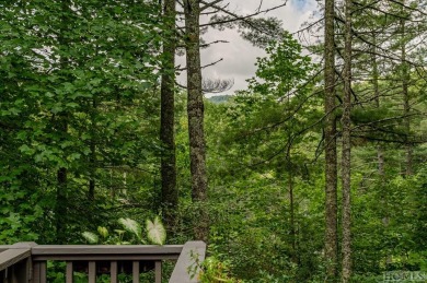 Nestled Above the River: Modern Comforts Meet Nature's Serenade on Burlingame Country Club in North Carolina - for sale on GolfHomes.com, golf home, golf lot