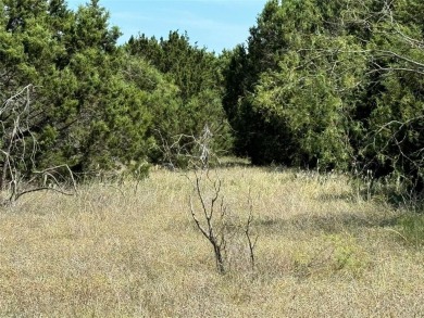 Little over a quarter acre corner lote enjoy community living on White Bluff Resort - New Course in Texas - for sale on GolfHomes.com, golf home, golf lot