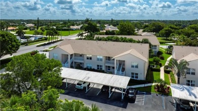 Welcome to Bradstrom Village in the heart of Lely resort on Royal Palm Golf Club in Florida - for sale on GolfHomes.com, golf home, golf lot