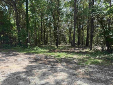 Build your dream home on this beautiful lot in the heart of on Rayburn Country Club in Texas - for sale on GolfHomes.com, golf home, golf lot