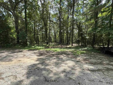 Build your dream home on this beautiful lot in the heart of on Rayburn Country Club in Texas - for sale on GolfHomes.com, golf home, golf lot