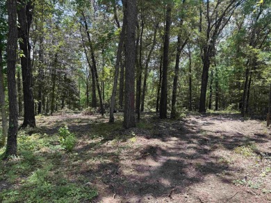 Build your dream home on this beautiful lot in the heart of on Rayburn Country Club in Texas - for sale on GolfHomes.com, golf home, golf lot