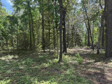 Build your dream home on this beautiful lot in the heart of on Rayburn Country Club in Texas - for sale on GolfHomes.com, golf home, golf lot
