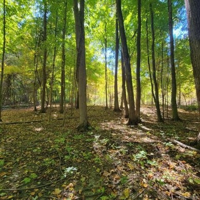 WELCOME TO YOUR FOREVER HOME ON 11.5 ACRES! IF YOU LONG FOR *THE on Castle Creek Golf Club  in Michigan - for sale on GolfHomes.com, golf home, golf lot