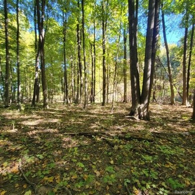 WELCOME TO YOUR FOREVER HOME ON 11.5 ACRES! IF YOU LONG FOR *THE on Castle Creek Golf Club  in Michigan - for sale on GolfHomes.com, golf home, golf lot