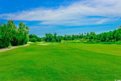 Motivated Seller!!!! Gorgeous, like-new 3 bedroom, 2 bath home on World Tour Golf Links in South Carolina - for sale on GolfHomes.com, golf home, golf lot