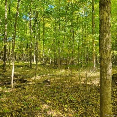 WELCOME TO YOUR FOREVER HOME ON 11.5 ACRES! IF YOU LONG FOR *THE on Castle Creek Golf Club  in Michigan - for sale on GolfHomes.com, golf home, golf lot