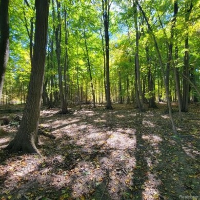 WELCOME TO YOUR FOREVER HOME ON 11.5 ACRES! IF YOU LONG FOR *THE on Castle Creek Golf Club  in Michigan - for sale on GolfHomes.com, golf home, golf lot