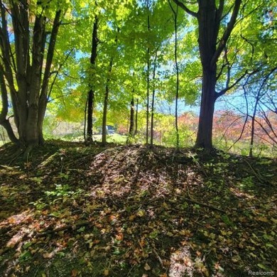 WELCOME TO YOUR FOREVER HOME ON 11.5 ACRES! IF YOU LONG FOR *THE on Castle Creek Golf Club  in Michigan - for sale on GolfHomes.com, golf home, golf lot