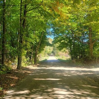 WELCOME TO YOUR FOREVER HOME ON 11.5 ACRES! IF YOU LONG FOR *THE on Castle Creek Golf Club  in Michigan - for sale on GolfHomes.com, golf home, golf lot