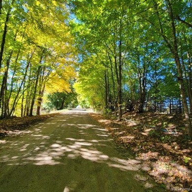 WELCOME TO YOUR FOREVER HOME ON 11.5 ACRES! IF YOU LONG FOR *THE on Castle Creek Golf Club  in Michigan - for sale on GolfHomes.com, golf home, golf lot