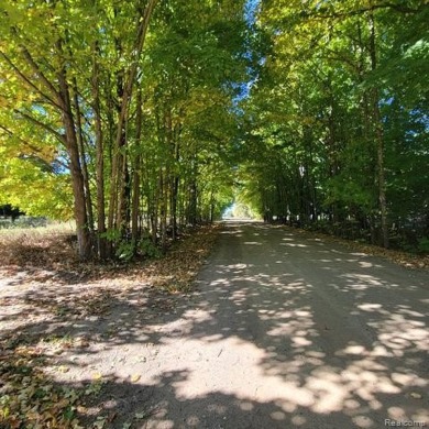 WELCOME TO YOUR FOREVER HOME ON 11.5 ACRES! IF YOU LONG FOR *THE on Castle Creek Golf Club  in Michigan - for sale on GolfHomes.com, golf home, golf lot