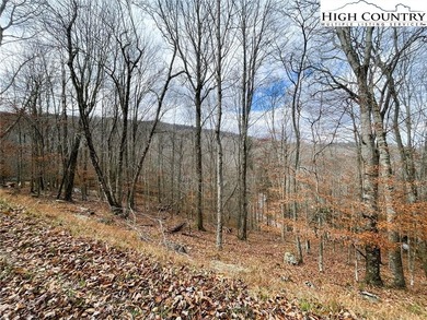 Gentle sloping lot with seasonal view and in a great location! on Beech Mountain Club in North Carolina - for sale on GolfHomes.com, golf home, golf lot