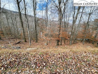 Gentle sloping lot with seasonal view and in a great location! on Beech Mountain Club in North Carolina - for sale on GolfHomes.com, golf home, golf lot