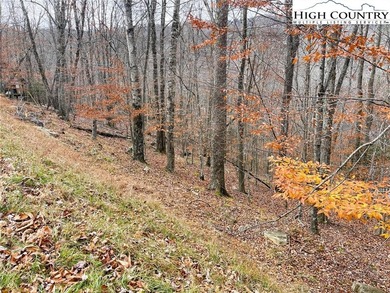 Gentle sloping lot with seasonal view and in a great location! on Beech Mountain Club in North Carolina - for sale on GolfHomes.com, golf home, golf lot