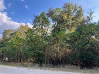 Welcome to this hidden gem in the Tahitian Village Community on Pine Forest Golf Club in Texas - for sale on GolfHomes.com, golf home, golf lot