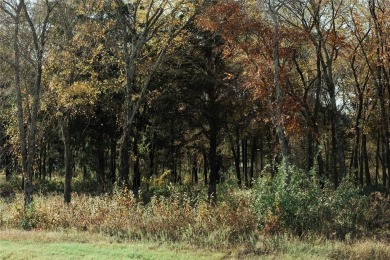 Discover the perfect balance of privacy and luxury in the on Cedar Creek Country Club in Texas - for sale on GolfHomes.com, golf home, golf lot