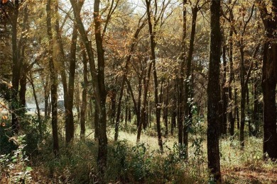 Discover the perfect balance of privacy and luxury in the on Cedar Creek Country Club in Texas - for sale on GolfHomes.com, golf home, golf lot