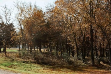 Discover the perfect balance of privacy and luxury in the on Cedar Creek Country Club in Texas - for sale on GolfHomes.com, golf home, golf lot