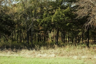 Discover the perfect balance of privacy and luxury in the on Cedar Creek Country Club in Texas - for sale on GolfHomes.com, golf home, golf lot