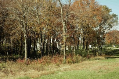 Discover the perfect balance of privacy and luxury in the on Cedar Creek Country Club in Texas - for sale on GolfHomes.com, golf home, golf lot