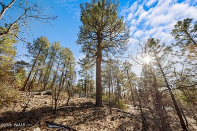 Exceptional Heavily Treed Lot in the Prestigious Torreon on Torreon Golf Club in Arizona - for sale on GolfHomes.com, golf home, golf lot