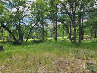 GOLF C0URSE LOT - 6TH GREEN AND FAIRWAY Located at the Running Y on Running Y Ranch Resort in Oregon - for sale on GolfHomes.com, golf home, golf lot