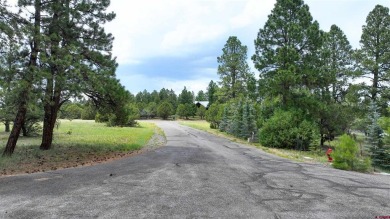 Chase K Girard, Ponderosa Real Estate The Source For Real Estate on The Divide Ranch and Club in Colorado - for sale on GolfHomes.com, golf home, golf lot