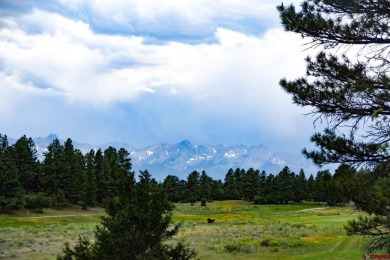 Chase K Girard, Ponderosa Real Estate The Source For Real Estate on The Divide Ranch and Club in Colorado - for sale on GolfHomes.com, golf home, golf lot