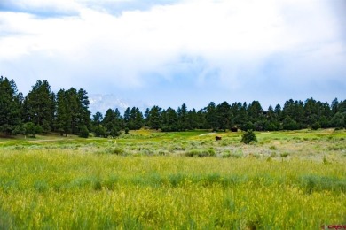 Chase K Girard, Ponderosa Real Estate The Source For Real Estate on The Divide Ranch and Club in Colorado - for sale on GolfHomes.com, golf home, golf lot