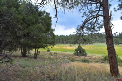 Chase K Girard, Ponderosa Real Estate The Source For Real Estate on The Divide Ranch and Club in Colorado - for sale on GolfHomes.com, golf home, golf lot