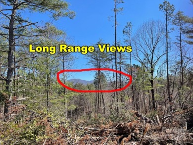 Imagine the endless opportunities awaiting you with this on Reems Creek Golf Club in North Carolina - for sale on GolfHomes.com, golf home, golf lot
