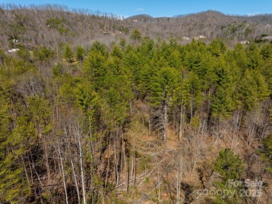 Imagine the endless opportunities awaiting you with this on Reems Creek Golf Club in North Carolina - for sale on GolfHomes.com, golf home, golf lot