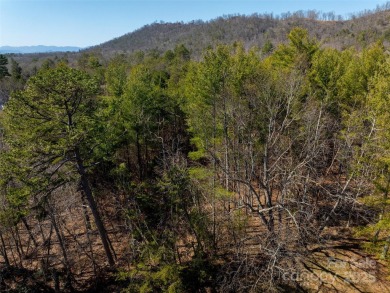 Imagine the endless opportunities awaiting you with this on Reems Creek Golf Club in North Carolina - for sale on GolfHomes.com, golf home, golf lot