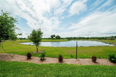 GORGEOUS home in gated South Lake 55+ community in Harmony! THIS on Harmony Golf Preserve in Florida - for sale on GolfHomes.com, golf home, golf lot