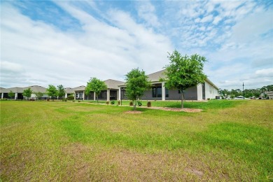 GORGEOUS home in gated South Lake 55+ community in Harmony! THIS on Harmony Golf Preserve in Florida - for sale on GolfHomes.com, golf home, golf lot