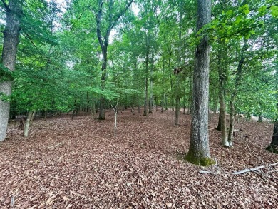 Public Remarks 
This .61 acre lot in the beautiful Swift Island on The Tillery Tradition Country Club in North Carolina - for sale on GolfHomes.com, golf home, golf lot