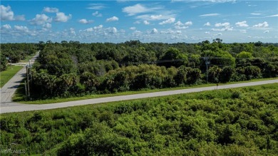 What a great opportunity to purchase 4 prime residential acres on Lehigh Resort Club in Florida - for sale on GolfHomes.com, golf home, golf lot